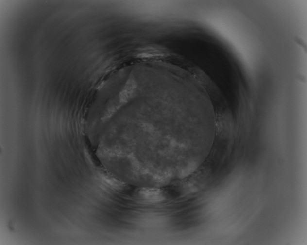 X0000095690767200801221247