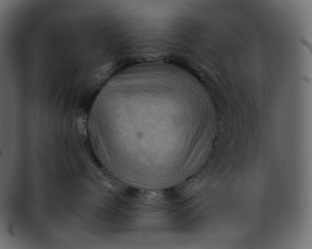 X0000095690768200801221247