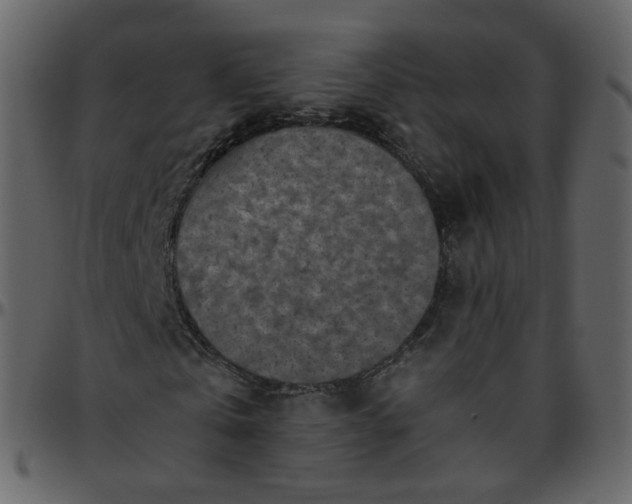 X0000095690769200801221247