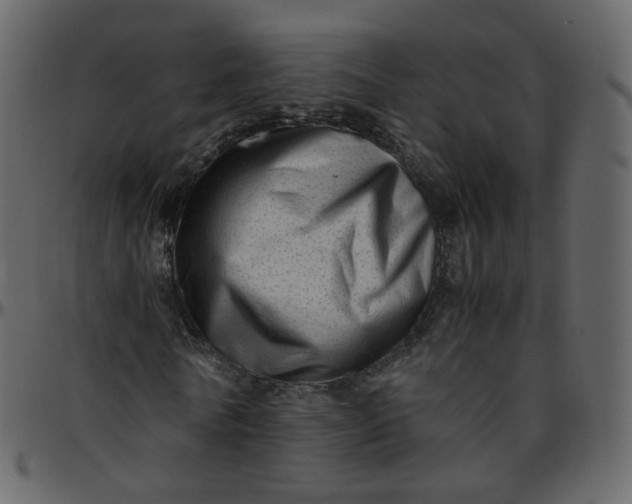 X0000095690770200801221247