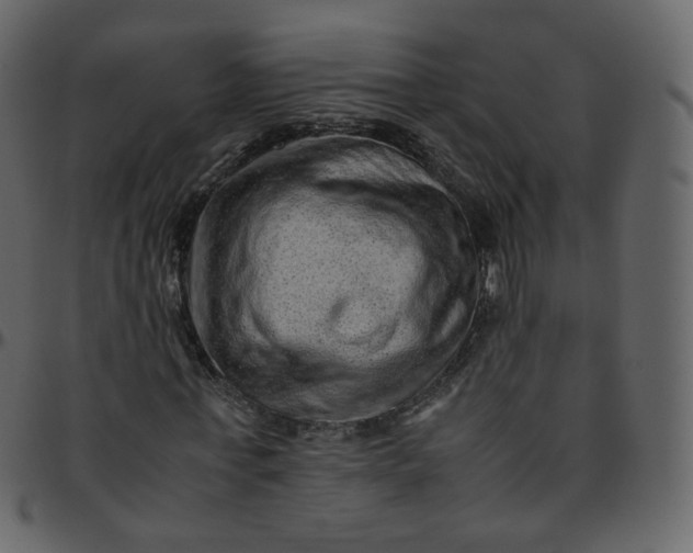 X0000095690771200801221247