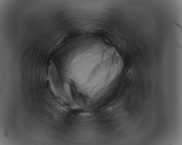 X0000095690772200801221246