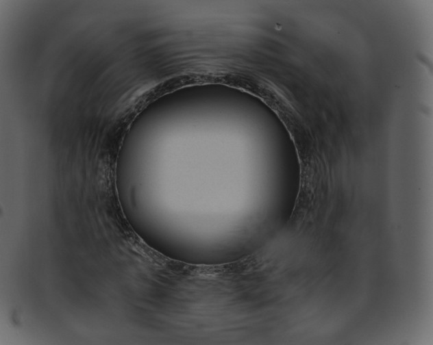 X0000095690773200801221246