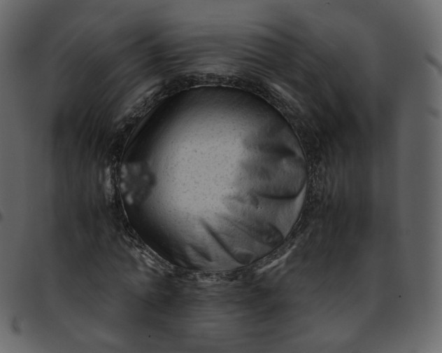 X0000095690774200801221246