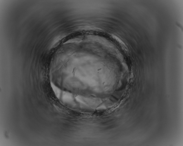 X0000095690775200801221246