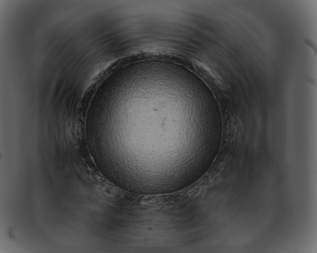 X0000095690776200801221246