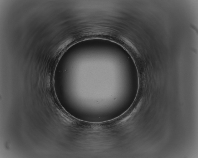 X0000095690777200801221246