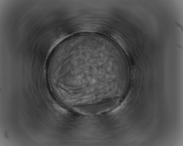 X0000095690779200801221246