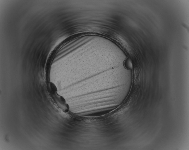 X0000095690780200801221246