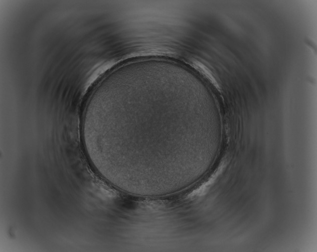 X0000095690781200801221246