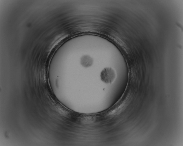 X0000095690782200801221246