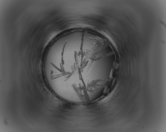 X0000095690783200801221246