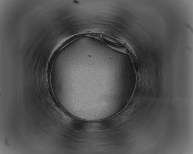 X0000095690784200801221246