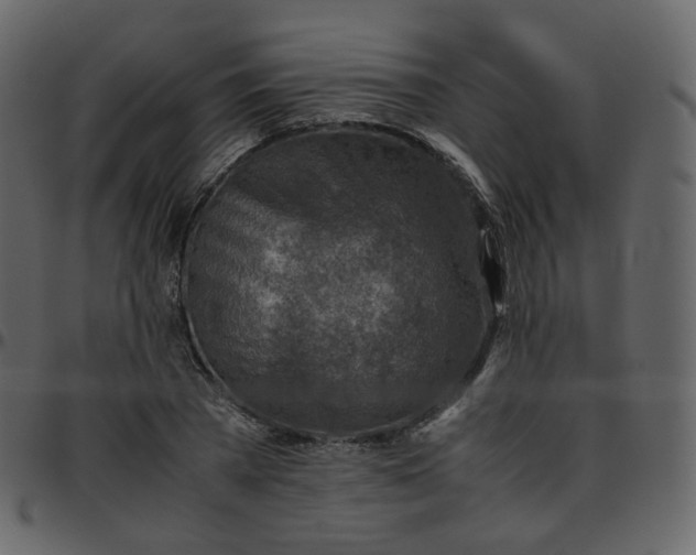 X0000095690785200801221246