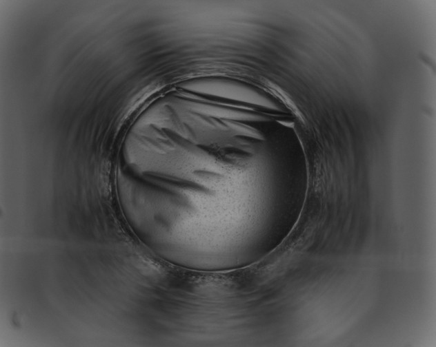 X0000095690786200801221246