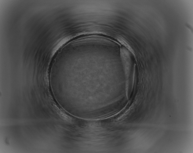 X0000095690789200801221246