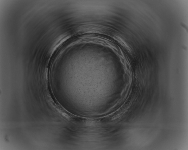 X0000095690790200801221246