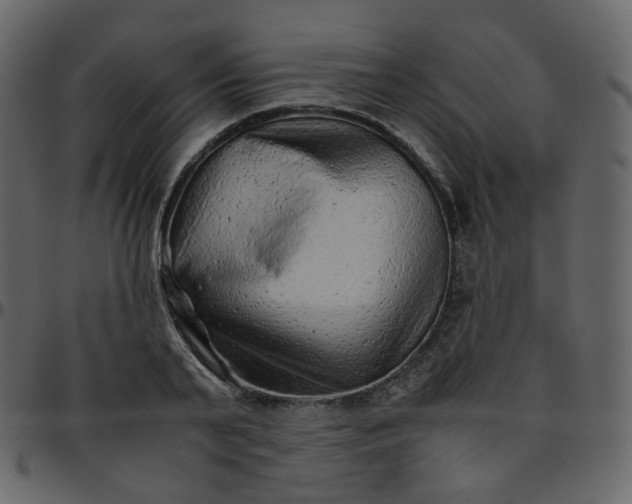 X0000095690791200801221246