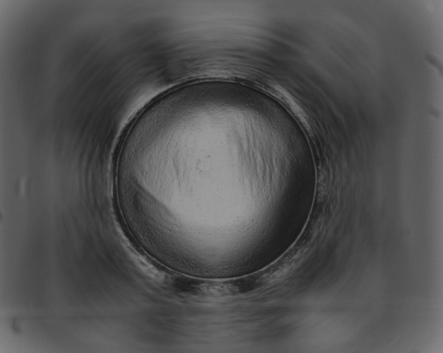 X0000095690795200801221246