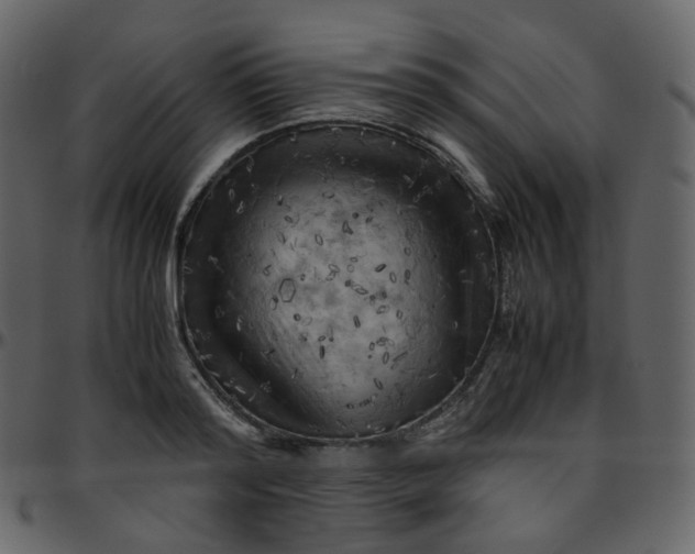 X0000095690796200801221246