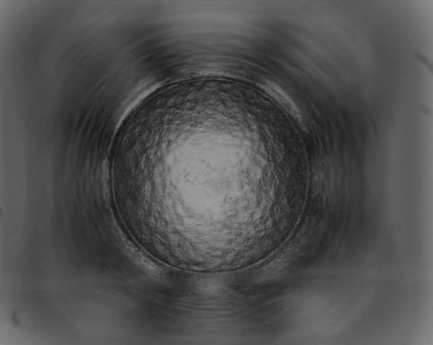 X0000095690798200801221246