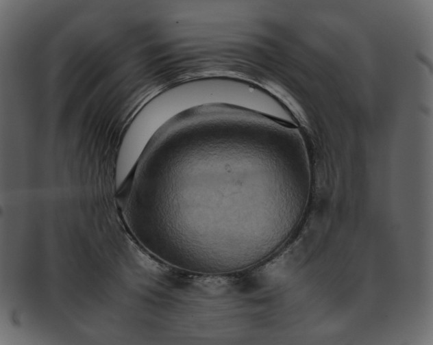 X0000095690801200801221246