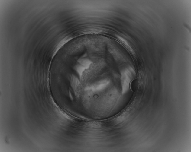 X0000095690802200801221246