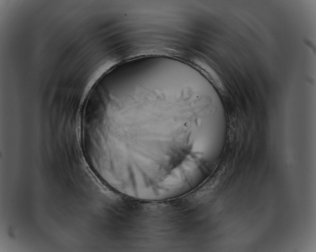 X0000095690804200801221246