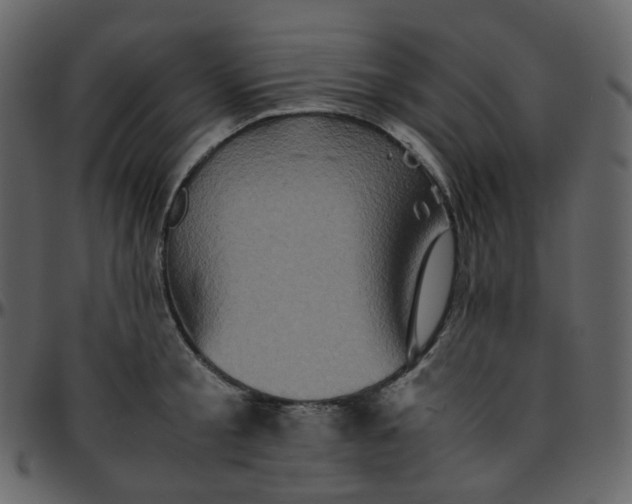 X0000095690805200801221246