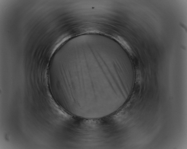 X0000095690806200801221246