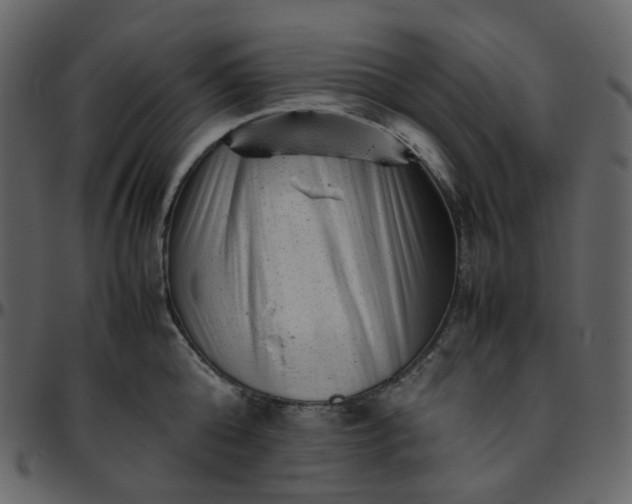 X0000095690808200801221246