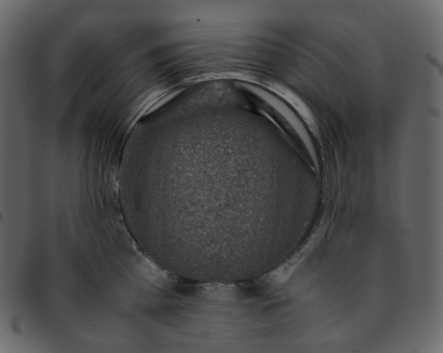 X0000095690809200801221246