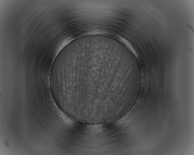 X0000095690810200801221246