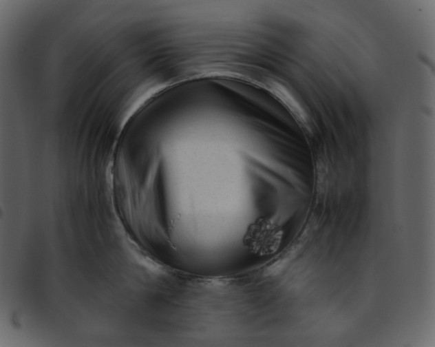 X0000095690814200801221246