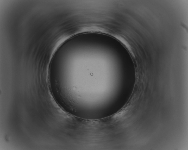 X0000095690815200801221246