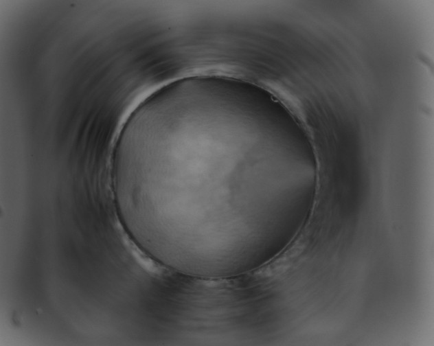 X0000095690816200801221246