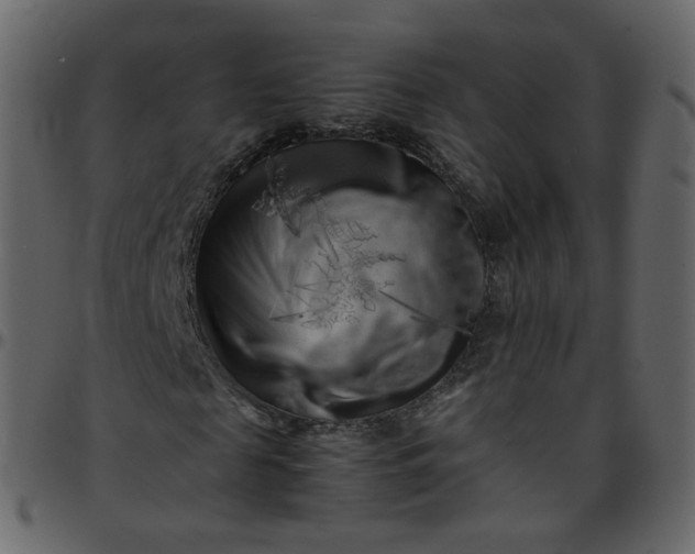 X0000095690817200801221245