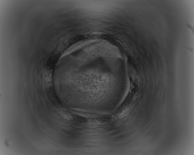 X0000095690818200801221245