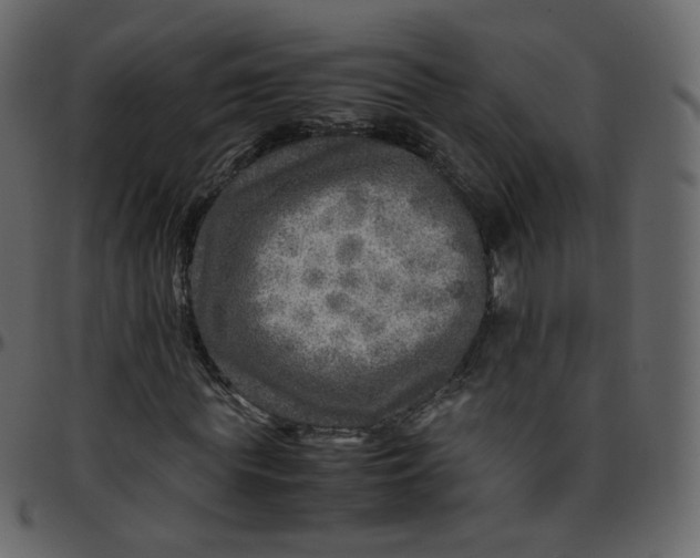 X0000095690819200801221245