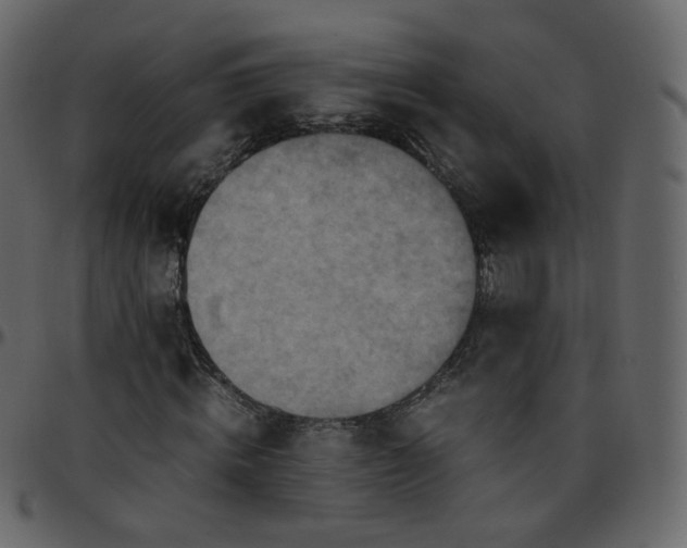 X0000095690820200801221245