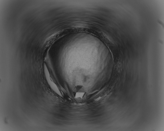 X0000095690821200801221245