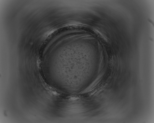 X0000095690822200801221245