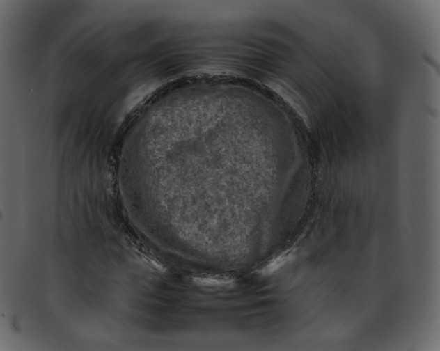 X0000095690823200801221245