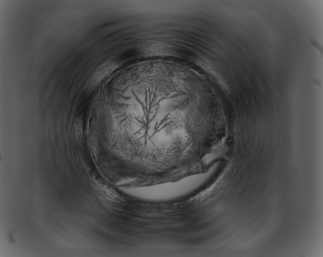 X0000095690825200801221245