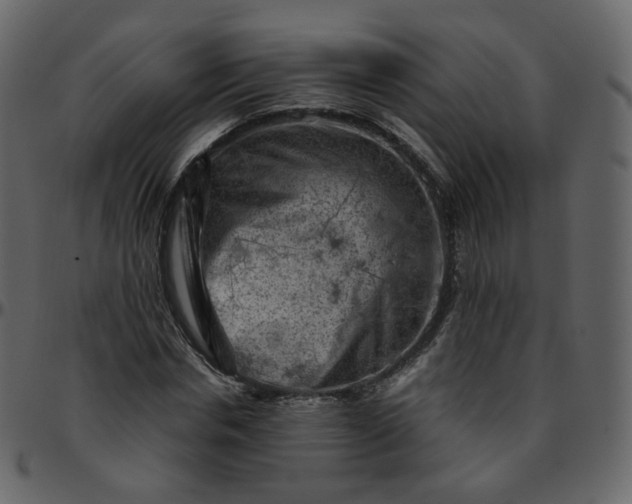 X0000095690826200801221245