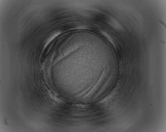 X0000095690827200801221245