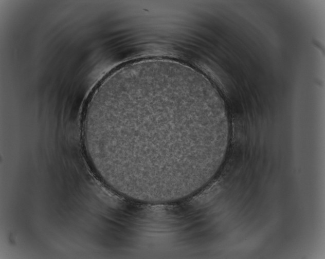 X0000095690828200801221245