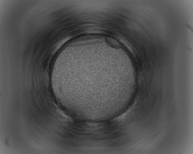 X0000095690829200801221245