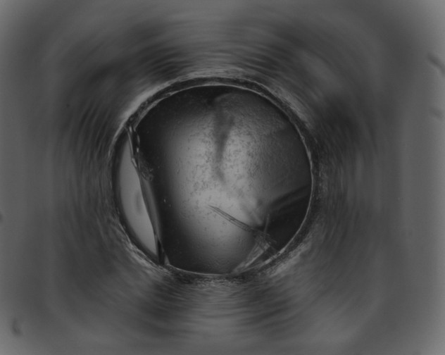 X0000095690830200801221245