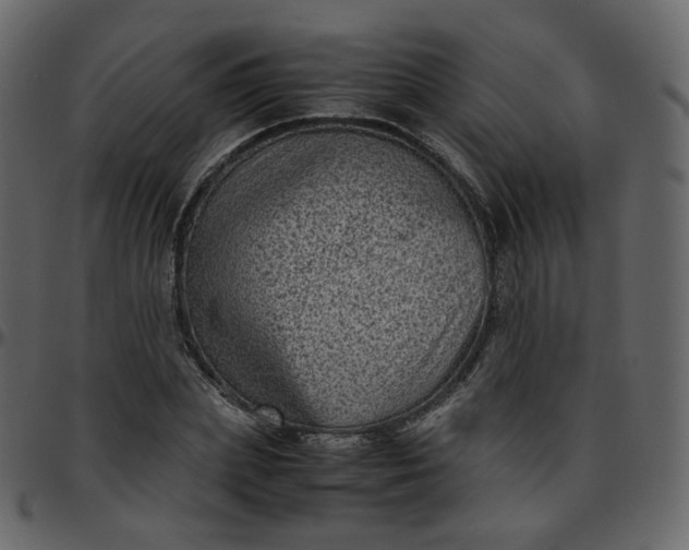 X0000095690831200801221245